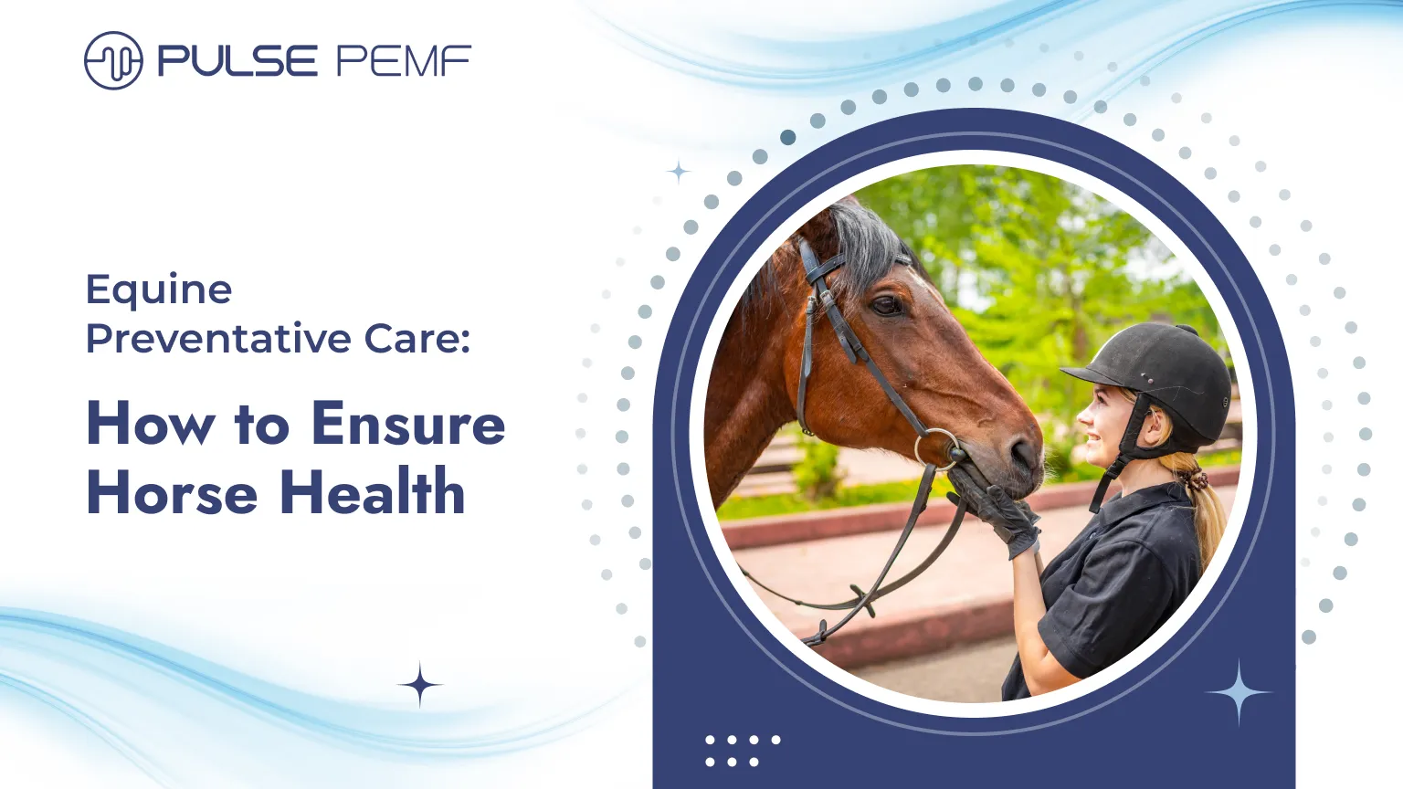 Equine Preventative Care: How to Ensure Horse Health Equine Preventative Care_ How to Ensure Horse Health