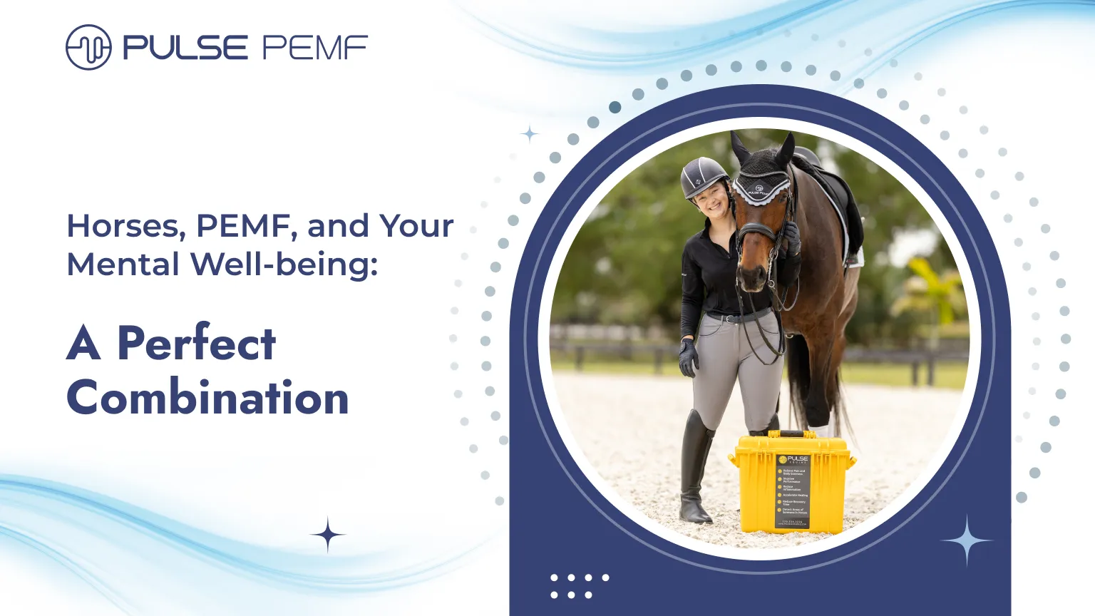 Horses, PEMF, and Your Mental Well-being: A Perfect Combination Mental well-being