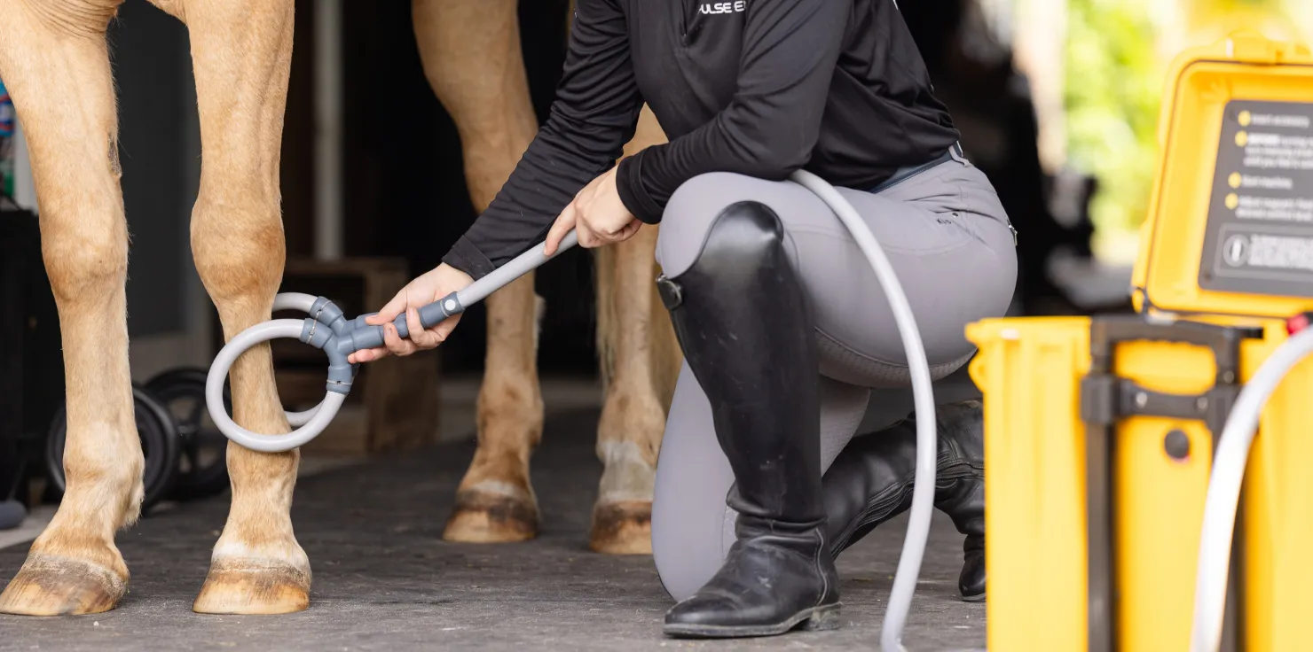 Equine Preventative Care: How to Ensure Horse Health PEMF Therapy for Preventative Health