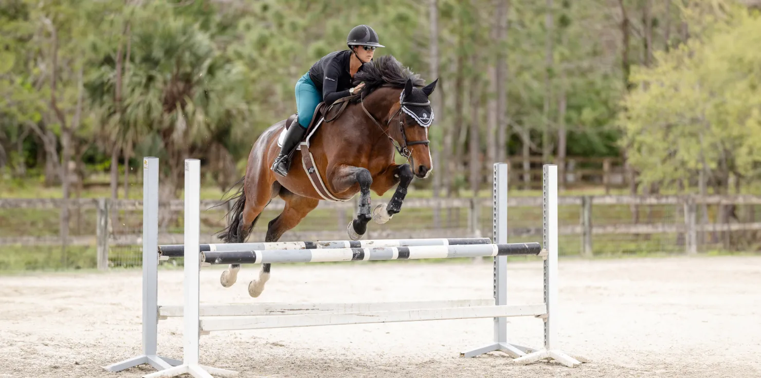 Horses, PEMF, and Your Mental Well-being: A Perfect Combination Physical Benefits of Horse Riding