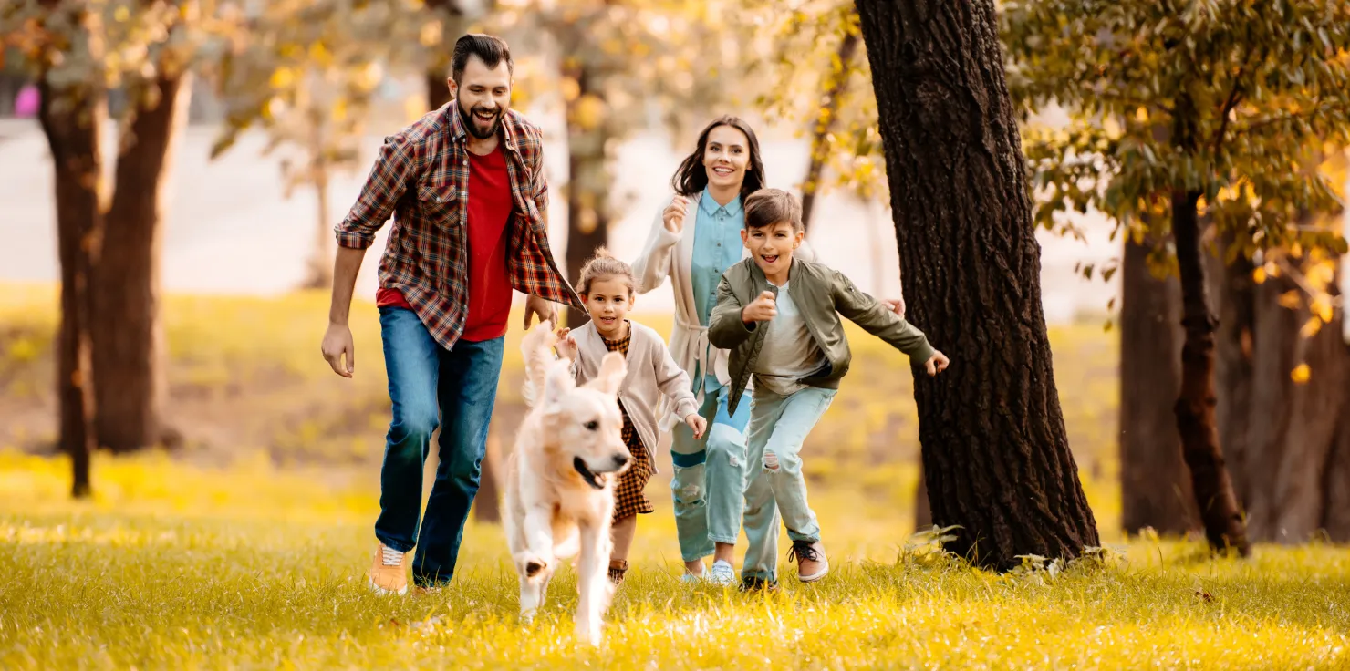 Fall Wellness Tips: Transitioning Smoothly into the New Season Stay Connected with Loved Ones