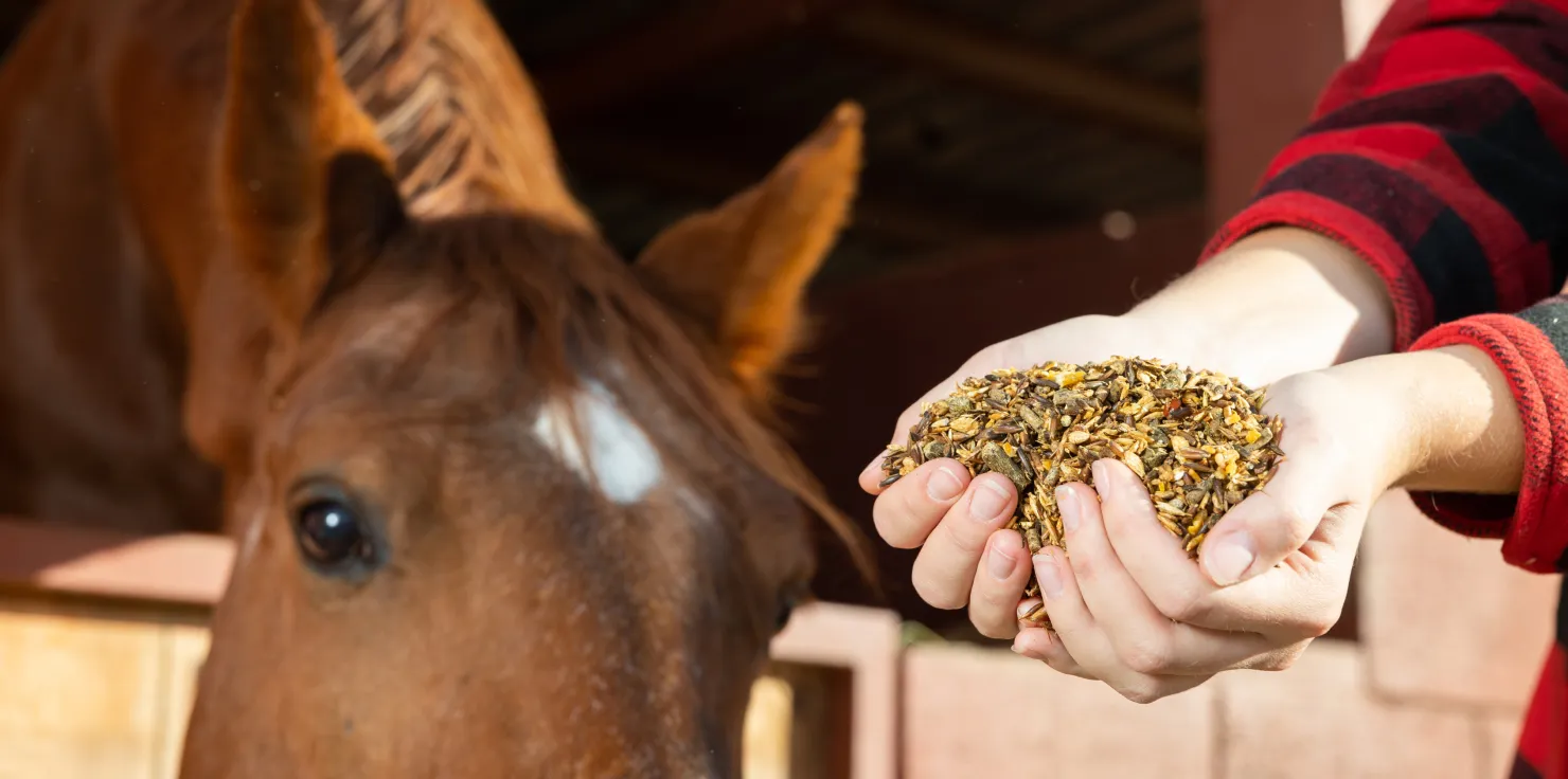 Transition to Winter Feeds