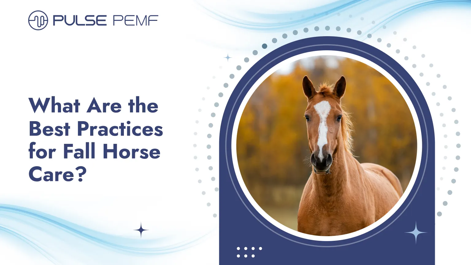 What Are the Best Practices for Fall Horse Care? What Are the Best Practices for Fall Horse Care