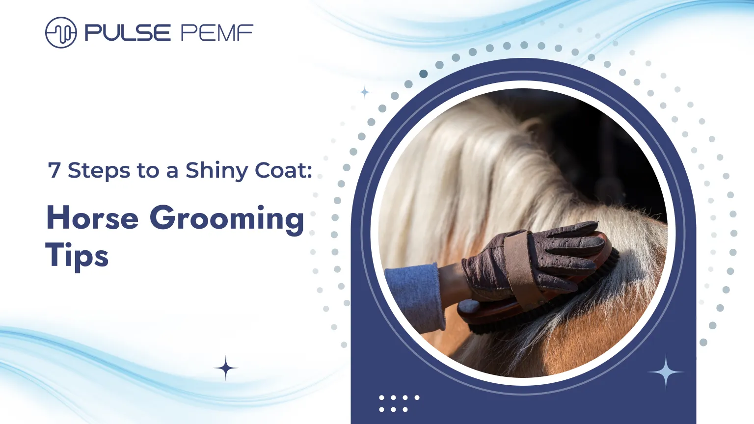 7 Steps to a Shiny Coat: Horse Grooming Tips 7 Steps to a Shiny Coat_ Horse Grooming Tips