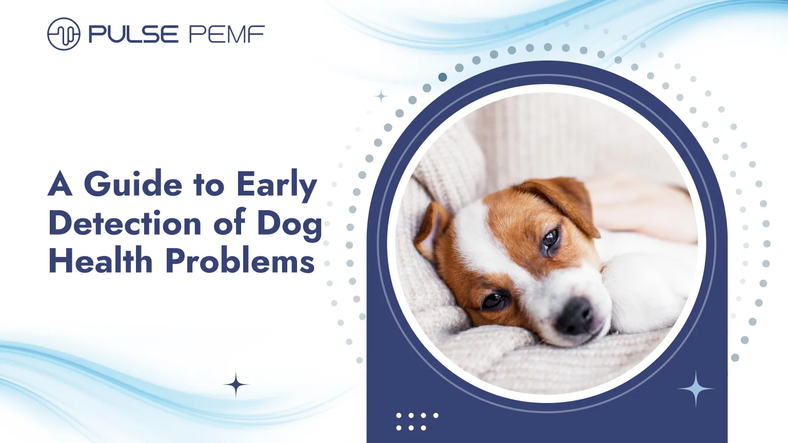 A Guide to Early Detection of Dog Health Problems A Guide to Early Detection of Dog Health Problems