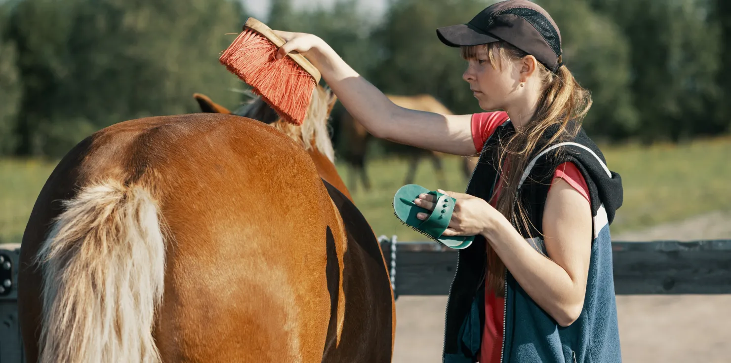 7 Steps to a Shiny Coat: Horse Grooming Tips Brushing to Distribute Natural Oils