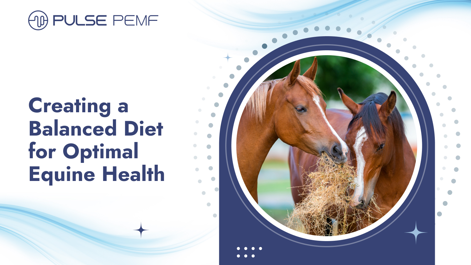 Creating a Balanced Diet for Optimal Equine Health Creating a Balanced Diet for Optimal Equine Health