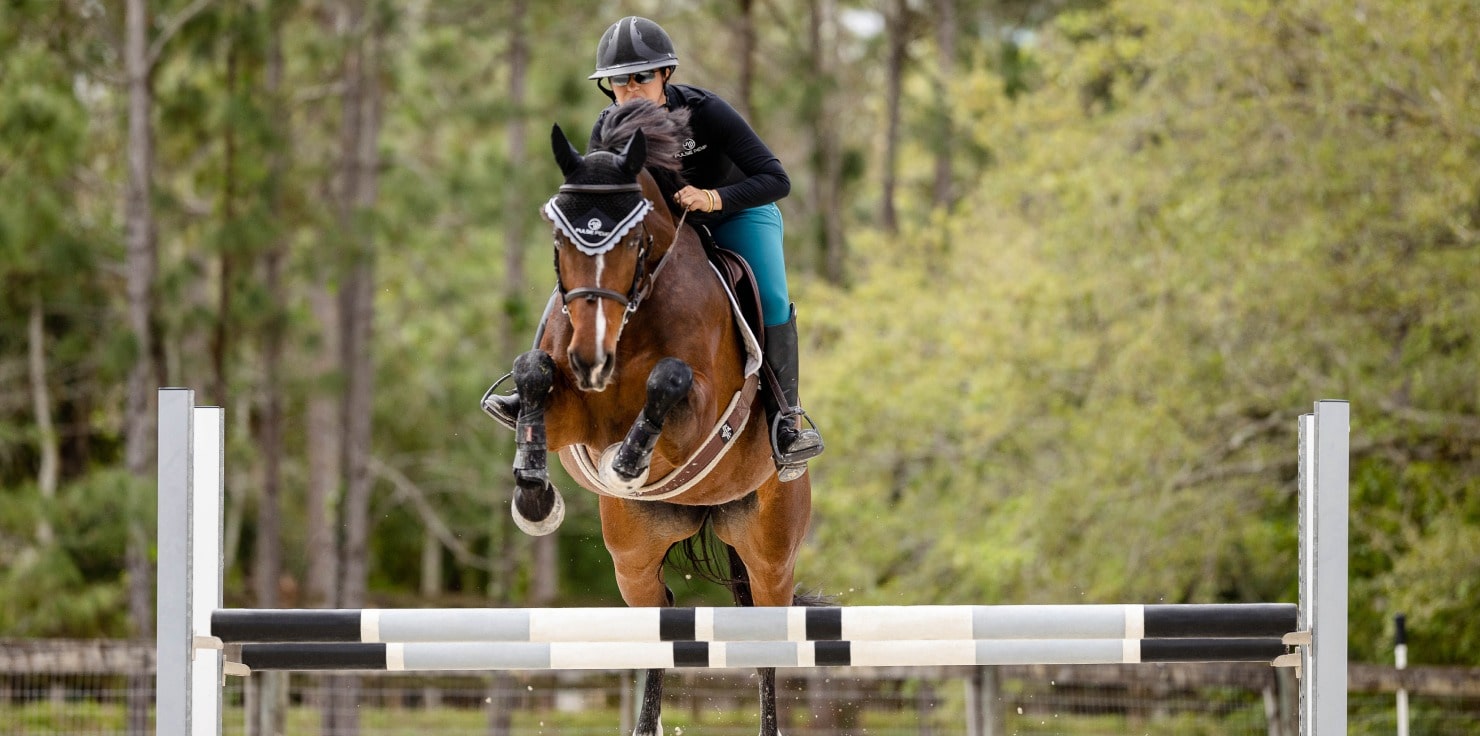 How to Prepare for Your First Horse Competition Pre-Competition Warm-up
