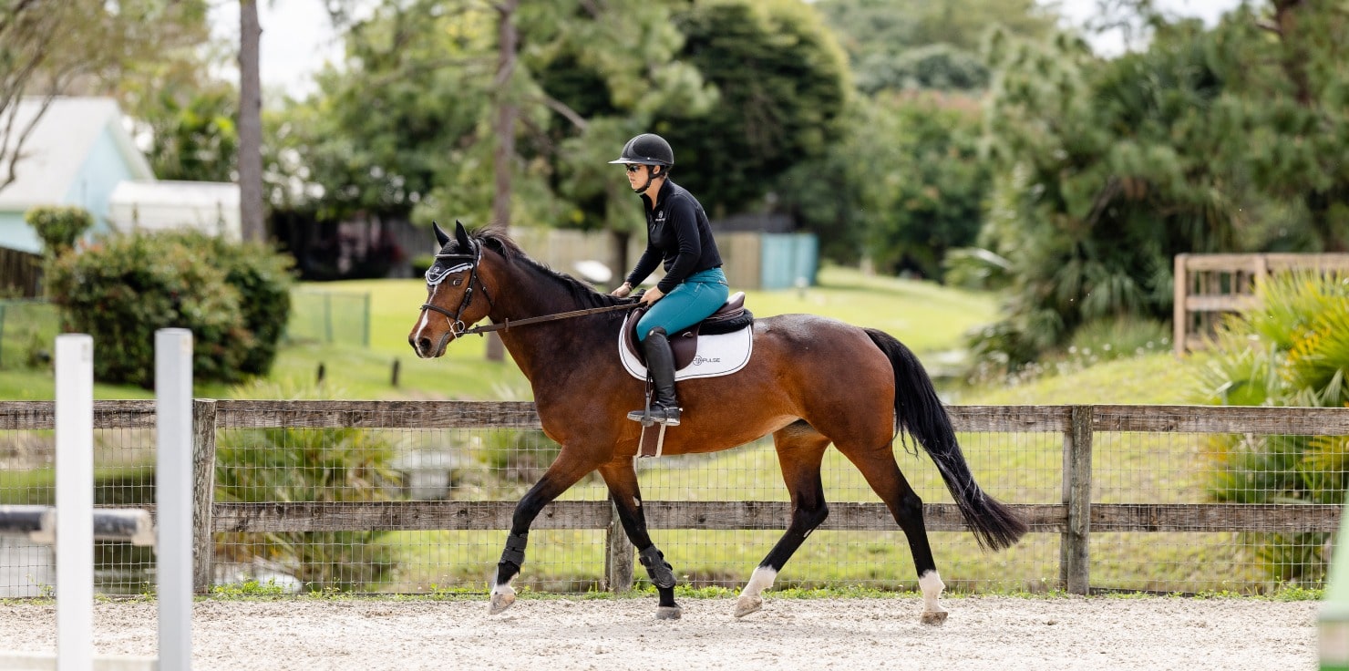 How to Prepare for Your First Horse Competition Training Your Horse for the Competition