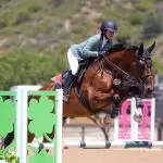 The Ultimate Quick-Start Guide to PEMF: Innovative Equine Therapy Header