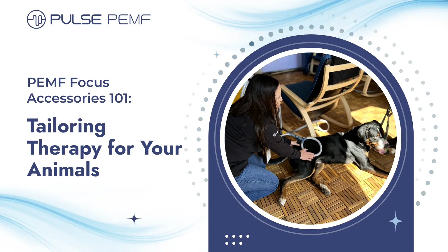 PEMF Focus Accessories 101: Tailoring Therapy for Your Animals PEMF Focus Accessories 101_ Tailoring Therapy for Your Animals