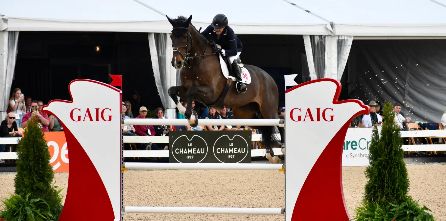 How to Keep Working Animals Healthy and Pain-Free Preventing and Managing Pain in Working Animals