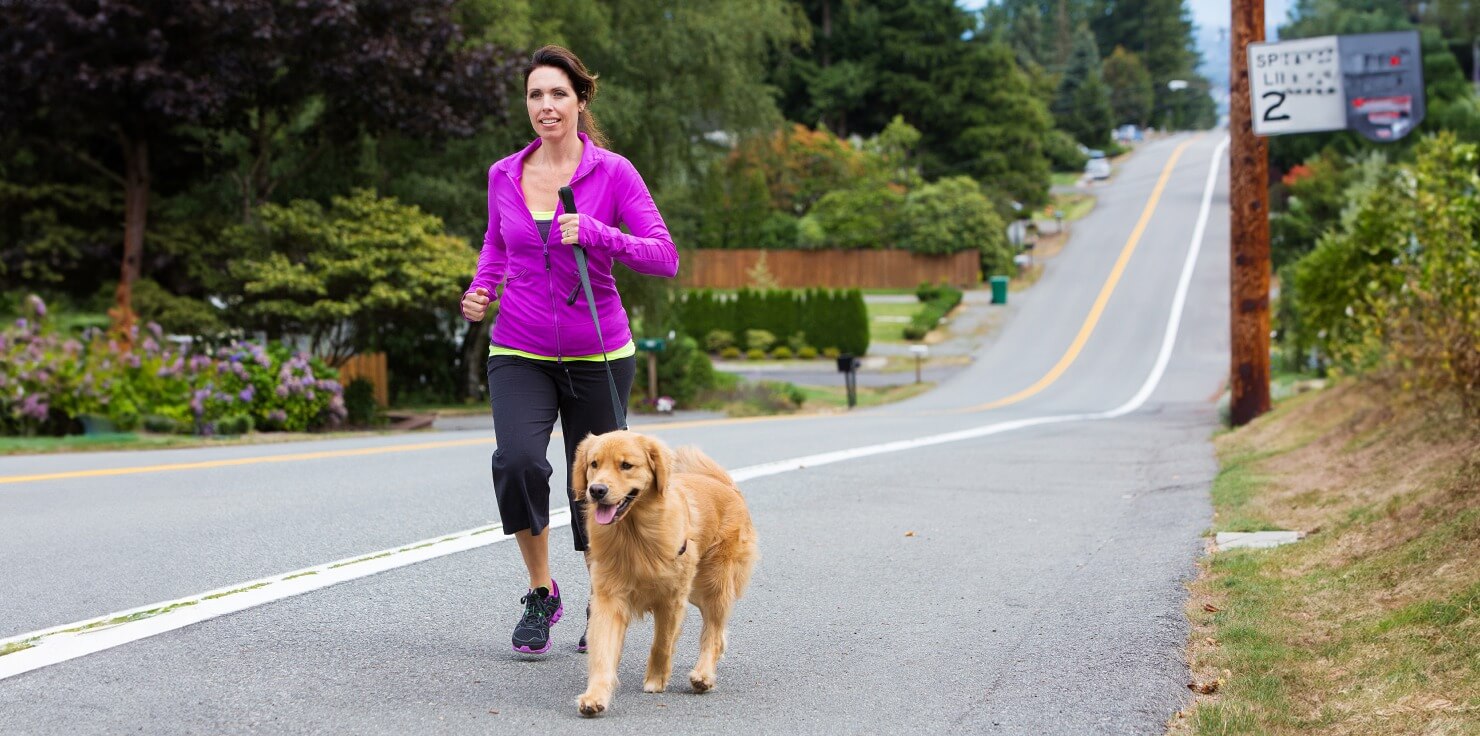 Laryngeal Paralysis in Dogs Preventive Measures to Reduce Laryngeal Paralysis Risk