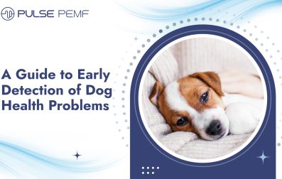 A Guide to Early Detection of Dog Health Problems