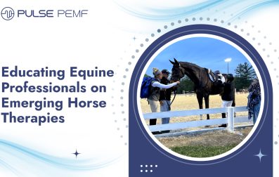 Educating Equine Professionals on Emerging Horse Therapies