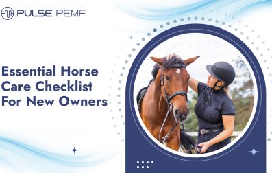 Horse care checklist