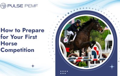 How to Prepare for Your First Horse Competition