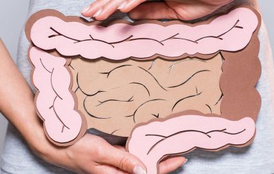 Hands of a lady holding a cutout digestive system