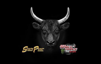 Professional Bull Riding