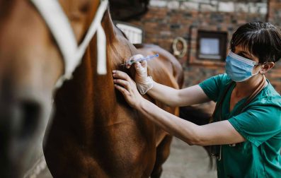 Pulse_PEMF_Pulsing_Over_Microchips